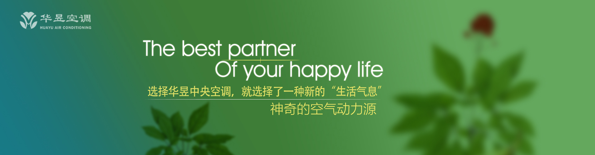 白璧青蝇网